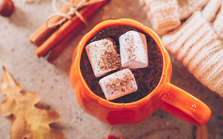 Découvrez les délices du chocolat chaud revisité par la Chocolaterie Daniel Stoffel