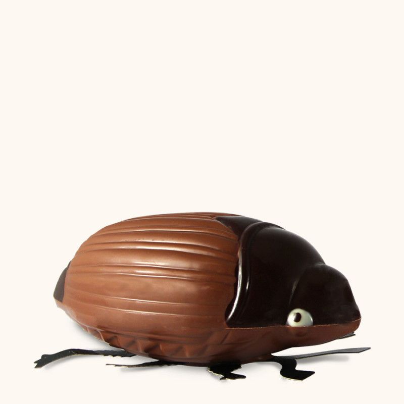 Hanneton Chocolat Au Lait