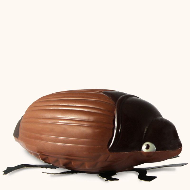 Grand Hanneton Chocolat Au Lait