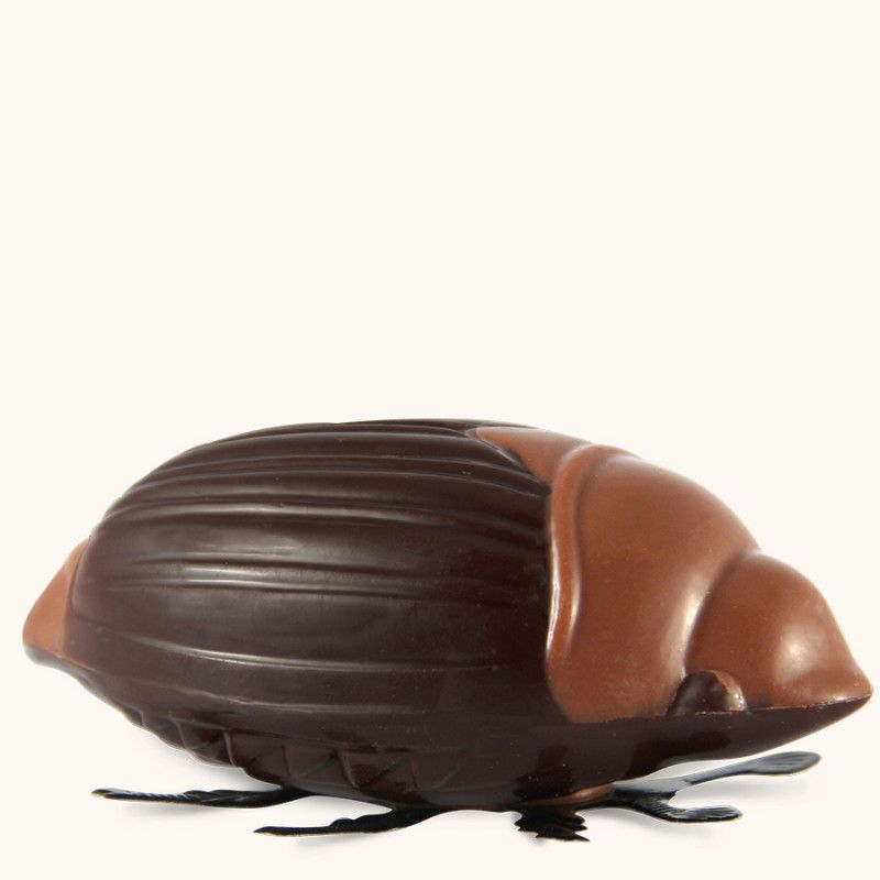 Grand Hanneton Chocolat Noir