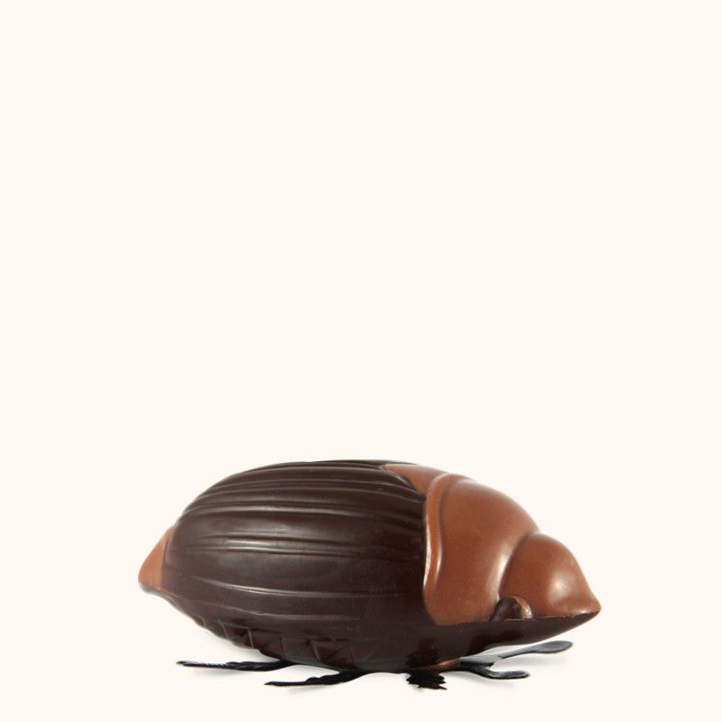 Petit Hanneton Chocolat Noir