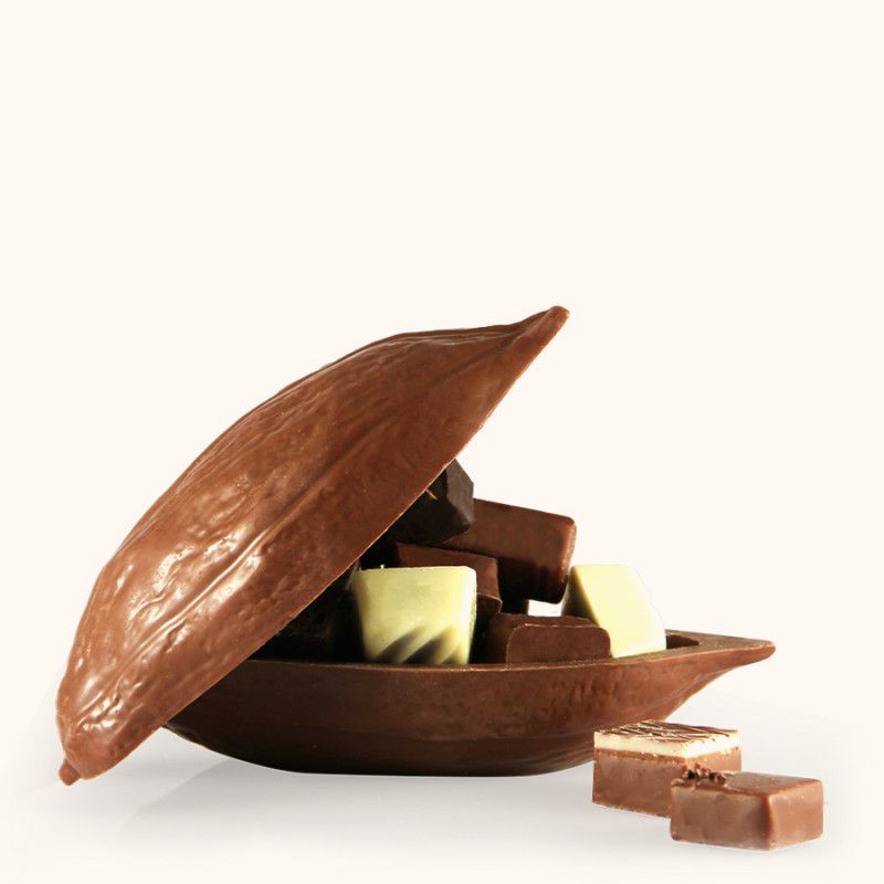 Cabosse Choc' Lait