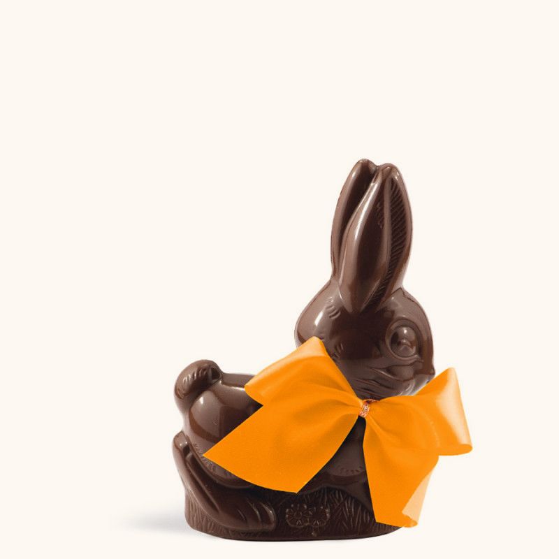 Grand Complice Chocolat Noir