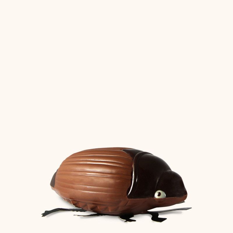 Petit Hanneton Chocolat Au Lait