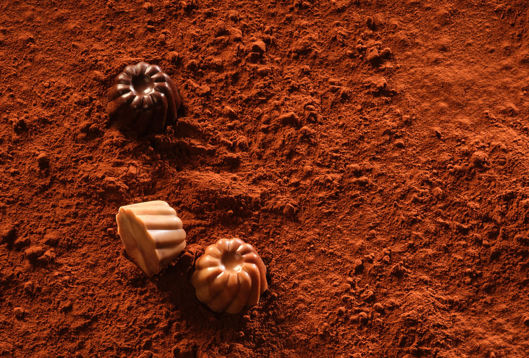 Les animations chocolat