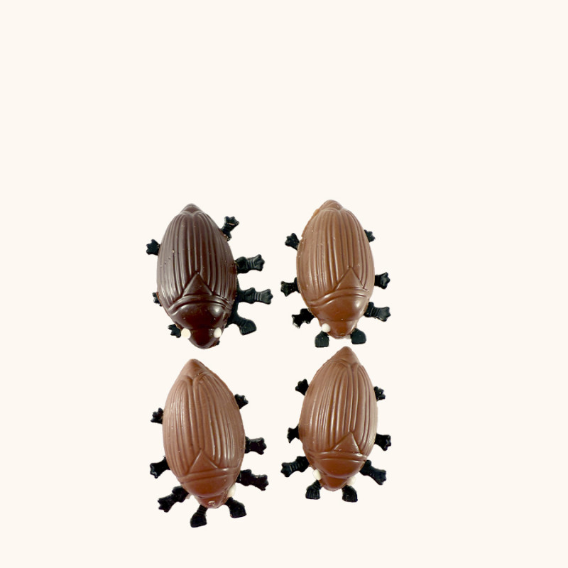 Maikäfer Praliné Amandes Et Noisettes