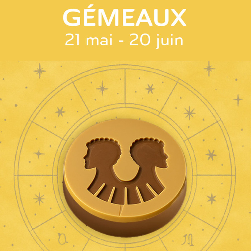 ASTRO GEMEAUX