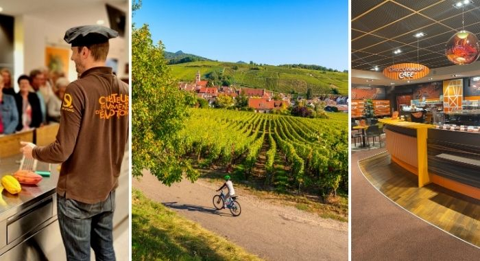 TOP 10 DES ACTIVITÉS GOURMANDES À FAIRE EN ALSACE