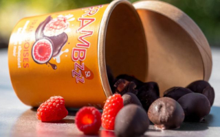 CHOCO'ASTUCES : PROFITEZ DE VOS CHOCOLATS TOUT L'ÉTÉ