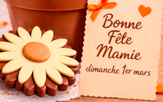 Découvrez la nouvelle collection Fête des Mamies