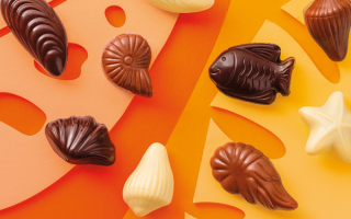 Tout savoir sur les chocolats en forme de fruits de mer