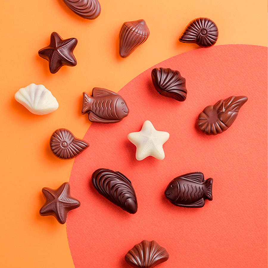 TOUS NOS CHOCOLATS